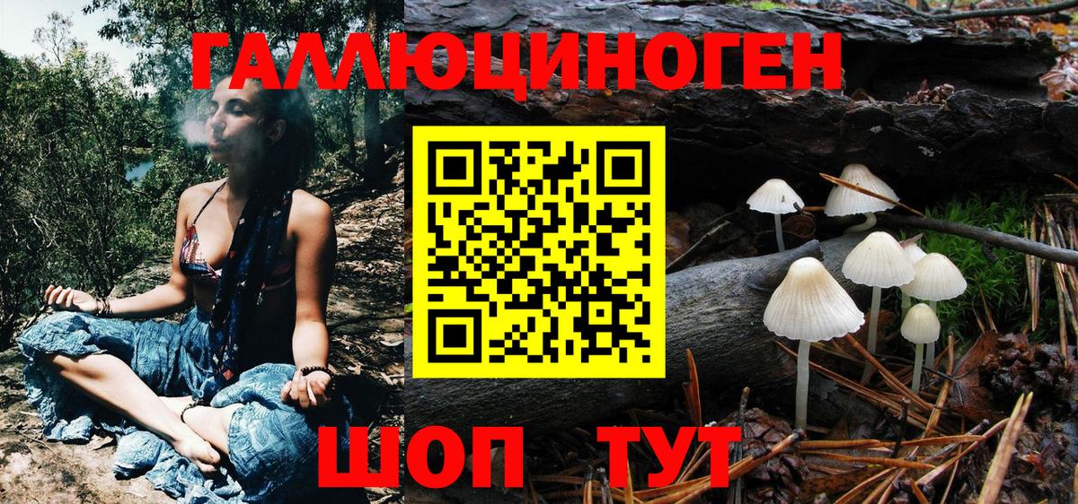 Зима  Псилоцибиновые грибы Magic Shrooms  Вход с VPN 