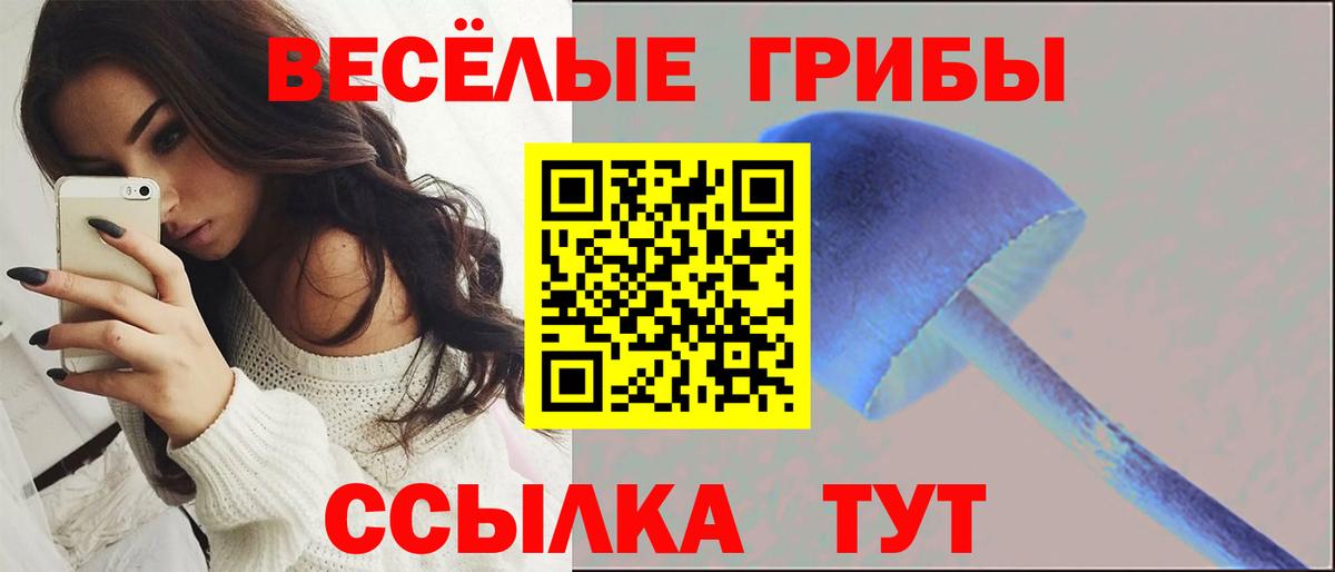 Псилоцибиновые грибы ЛСД Зима